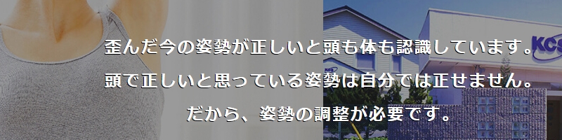 KCS�Z���^�[�E�p�������̓��{�ő��
���T�C�g